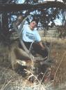 1999-rah-bull-frankie-solo.JPG