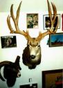 biggs-big-muddy-archery-1986-197-py-gross.jpg