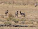 dsc00127.JPG