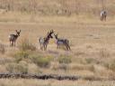 dsc00128.JPG