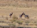 dsc00129.JPG
