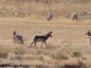dsc00132.JPG