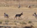 dsc00133.JPG