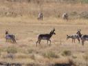 dsc00134.JPG