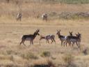 dsc00135.JPG