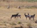 dsc00136.JPG